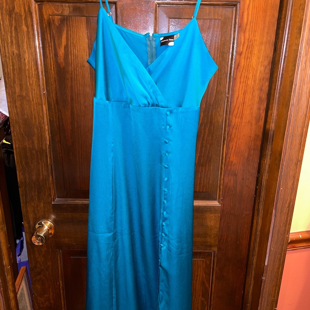 Maison Tara Vibrant Blue Dress